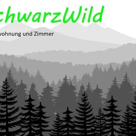 Schwarzwild - Und Ferienzimmer *