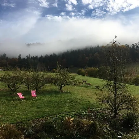 Apartament Schwarzwild - Und Ferienzimmer Baiersbronn