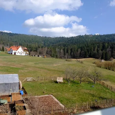 Schwarzwild - Und Ferienzimmer Baiersbronn