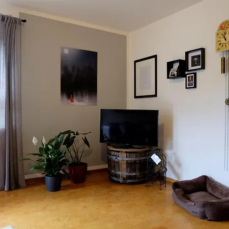 Schwarzwild - Und Ferienzimmer *