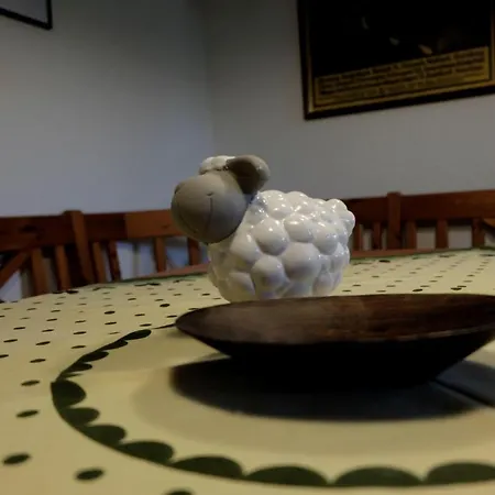 Schwarzwild - Und Ferienzimmer *