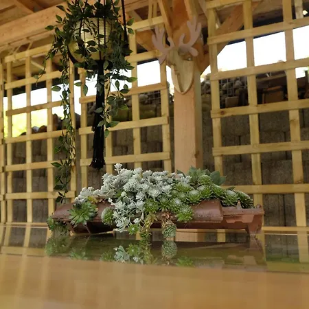 Schwarzwild - Und Ferienzimmer Baiersbronn