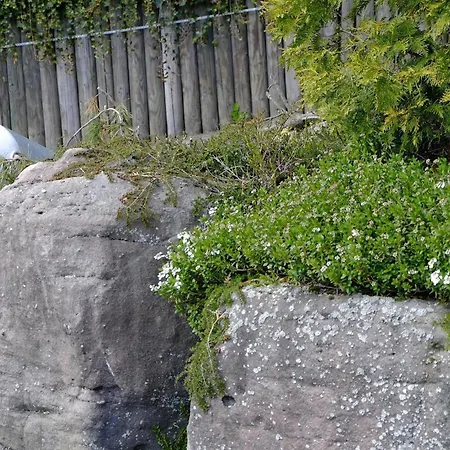 Schwarzwild - Und Ferienzimmer Apartament