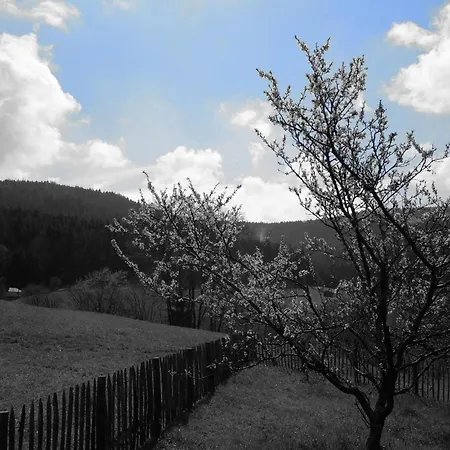 Schwarzwild - Und Ferienzimmer Apartament *