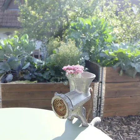 Apartament Schwarzwild - Und Ferienzimmer Baiersbronn