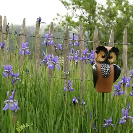 Schwarzwild - Und Ferienzimmer Baiersbronn