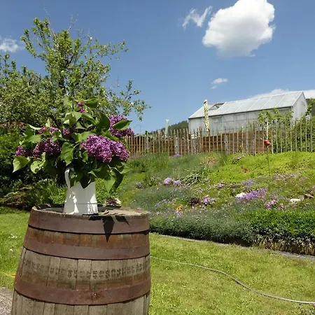 Schwarzwild - Und Ferienzimmer Baiersbronn