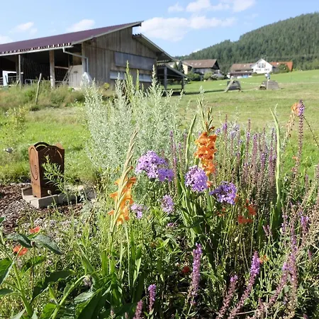 Apartamento Schwarzwild - Und Ferienzimmer