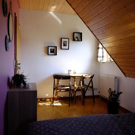 Schwarzwild - Und Ferienzimmer Apartament *